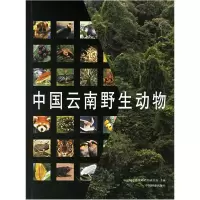 11中国云南野生动物978750382253722