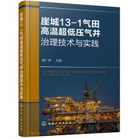 11崖城13-1气田高温超低压气井治理技术与实践978712234295922
