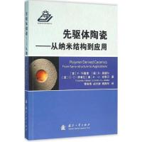 11先驱体陶瓷:从纳米结构到应用978711810033422