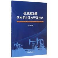 11低渗透没藏仿水平井注水开发技术978751831127922