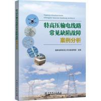 11特高压输电线路常见缺陷故障案例分析978751983055722