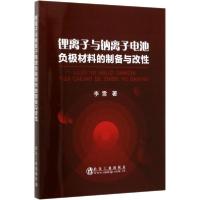 11锂离子与钠离子电池负极材料的制备与改性978750248434722