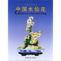11中国水仙花(精装)978753931065722