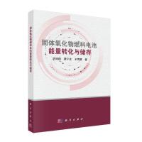 11固体氧化物燃料电池能量转化与储存978703061960022