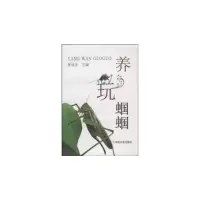 11养玩蝈蝈978710913900822