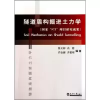11隧道盾构掘进土力学978756183729022