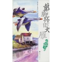 11瞭望塔动物书系:戴脚环的大雁 [3-6岁]978753503856222