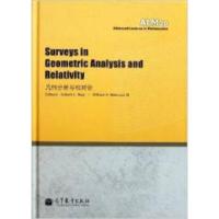 11几何分析与相对论978704032732822