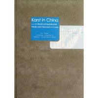 11中国喀斯特--奇峰异洞的世界(英文版)(精)978704033890422