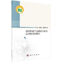 11渗锌防腐产业现状分析及技术路线图研究978703068233822