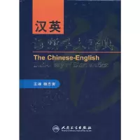 11汉英诊断学大辞典978711713156822