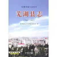 11芜湖县志1990-2003978780238546722