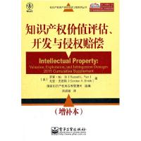 11知识产权价值评估.开发侵权赔偿-(增补本)978712114903022