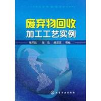 11废弃物回收加工工艺实例978712212694822