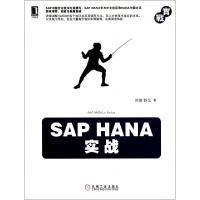 11SAP HANA实战978711144542522