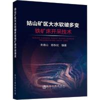11姑山矿区大水软破多变铁矿床开采技术978750248485922