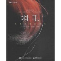 11左右系列?羽毛:鸟类闪耀的风采978712134479422