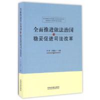 11全面推进依法治国与稳妥促进司法改革978750937821222