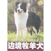11爱犬系列丛书-边境牧羊犬(爱犬系列丛书)978750384164422