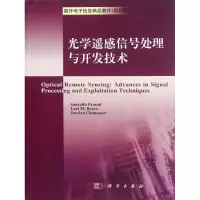 11光学遥感信号处理与开发技术978703034475522