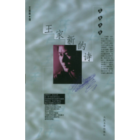 11王家新的诗978702003487122