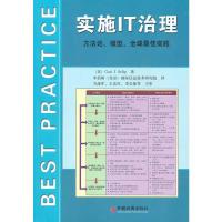 11实施IT治理:方法论、模型、全球最佳实践978750179872822