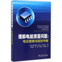 11理解电能质量问题:电压暂降与短时中断978751238956422