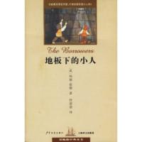 11地板下的小人/双桅船经典童书978753246611522