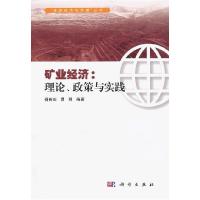 11矿业经济:理论、政策与实践978703036052622