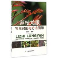 11荔枝龙眼害虫识别与防治图册978710922430822