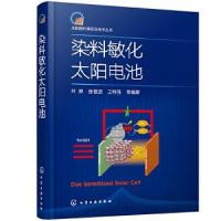 11太阳能利用前沿技术丛书--染料敏化太阳电池978712238129322