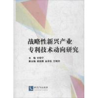 11战略性新兴产业专利技术动向研究978751301997222