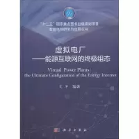 11虚拟电厂——能源互联网的终极组态978703058569122