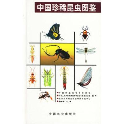 11中国珍稀昆虫图鉴精978750382089222