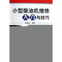 11小型柴油机维修入门与技巧978711143846522