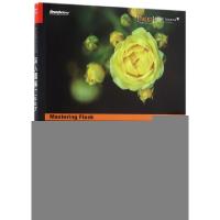 11深入理解Flask978712129231622