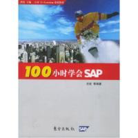 11100小时学会SAP978750602409922