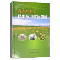 11昭苏亚高原药用植物图谱978751325198322