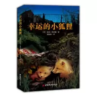 11幸运的小狐狸978750742481222