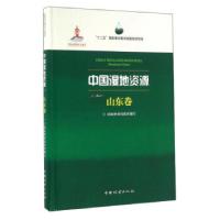 11中国湿地资源-山东卷978750388302622