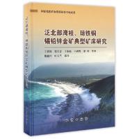 11泛北部湾桂琼铁铜锡铅锌金矿典型矿床研究(精)978711608343122