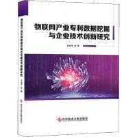 11物联网产业数据挖掘与企业技术创新研究978751896019422