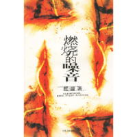 11燃烧的噪音978721403669822