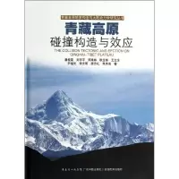 11青藏高原碰撞构造与效应978753595612522