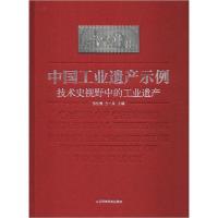 11中国工业遗产示例 技术史视野中的工业遗产978753319972222