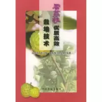 11番荔枝优质高效栽培技术978710906804922