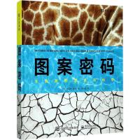 11左右系列?图案密码:大自然的艺术与科学978712131937222