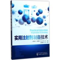11实用注射剂制备技术978712229986422