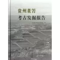 11贵州董箐考古发掘报告978750103481922
