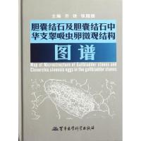 11胆囊结石及胆囊结石中华支睾吸虫卵微观结构图谱9787802459793